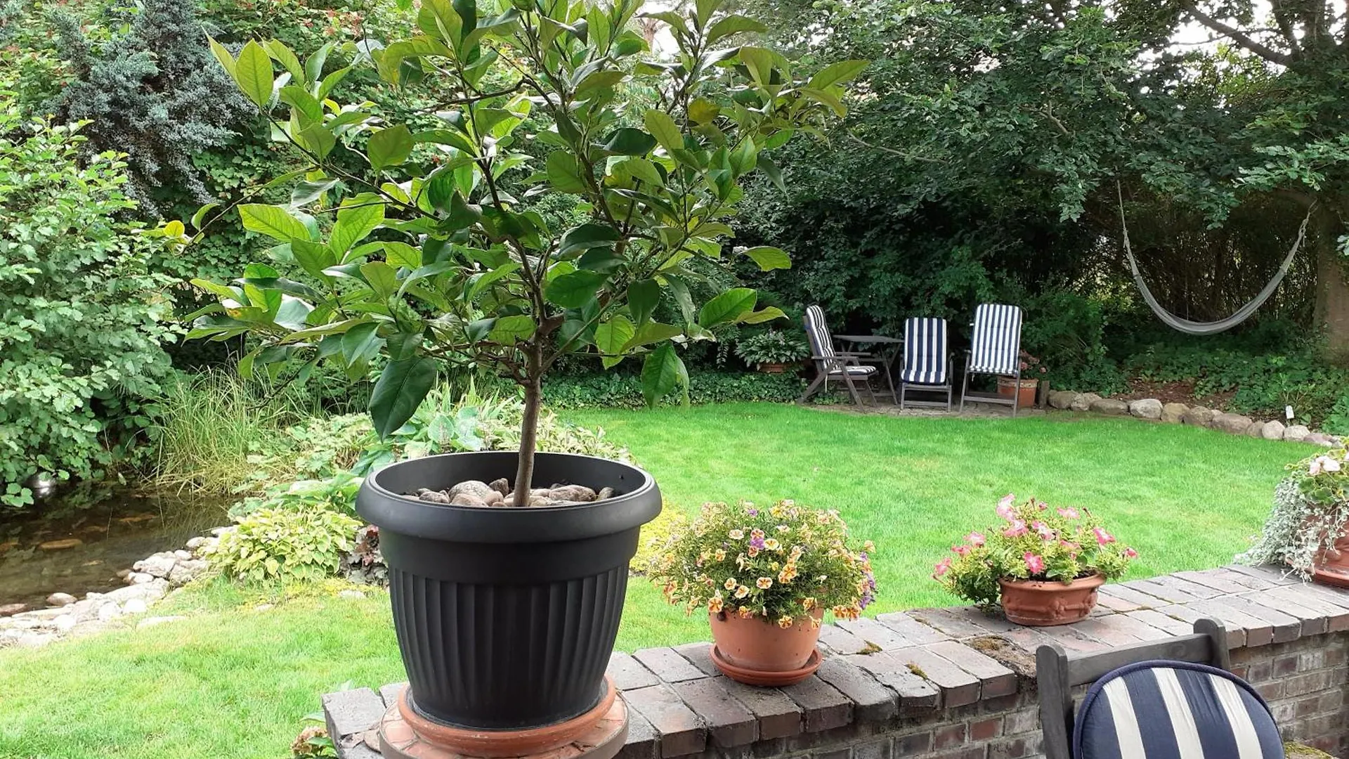 Apartment Kaszubiana Direkt In Der Natur Sulmin